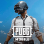 pubgmobile���ʷ�